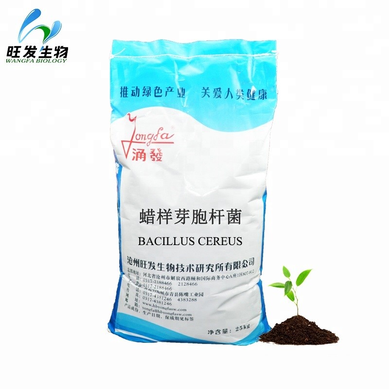 Feed Grade Bio Fertilizer Powder Bacillus Cereus