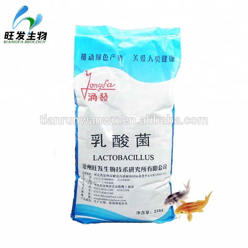Lactic Acid Bacteria Powder Lactobacillus for Agriculture Animals