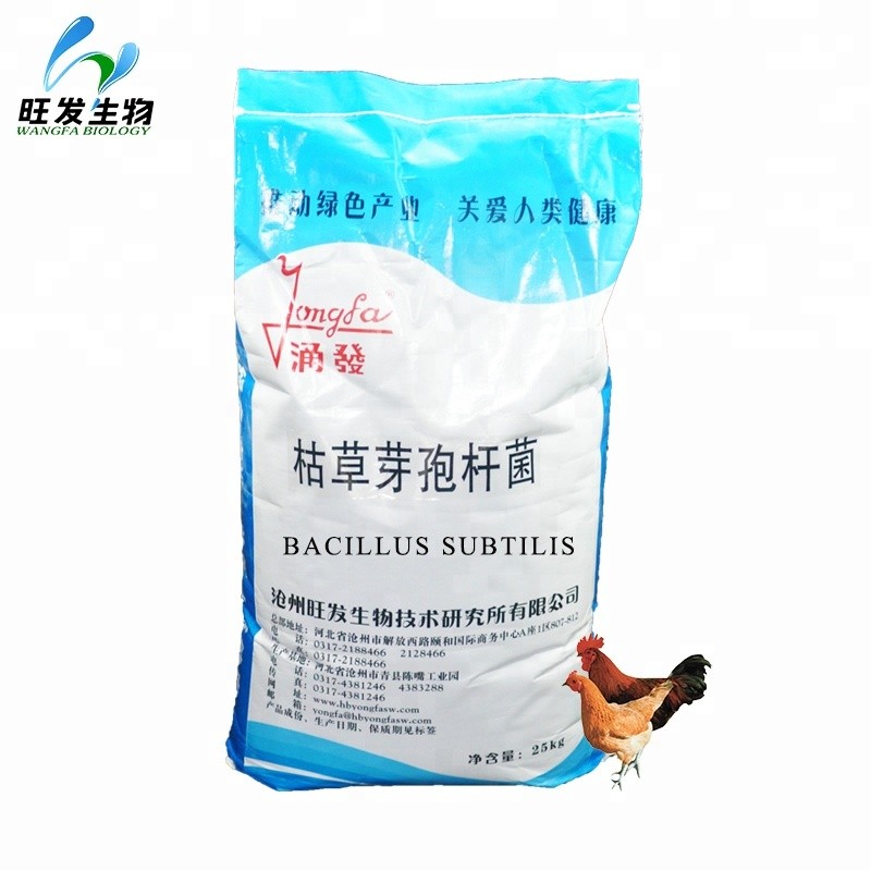 Feeding Soil Microbes Microbial Inoculum Bacillus Subtilis