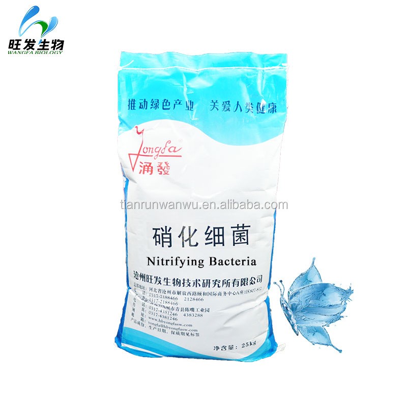 Nitrifying Bacteria for Degrading the Ammonia, BOD and COD in Sewage Treatment Plant