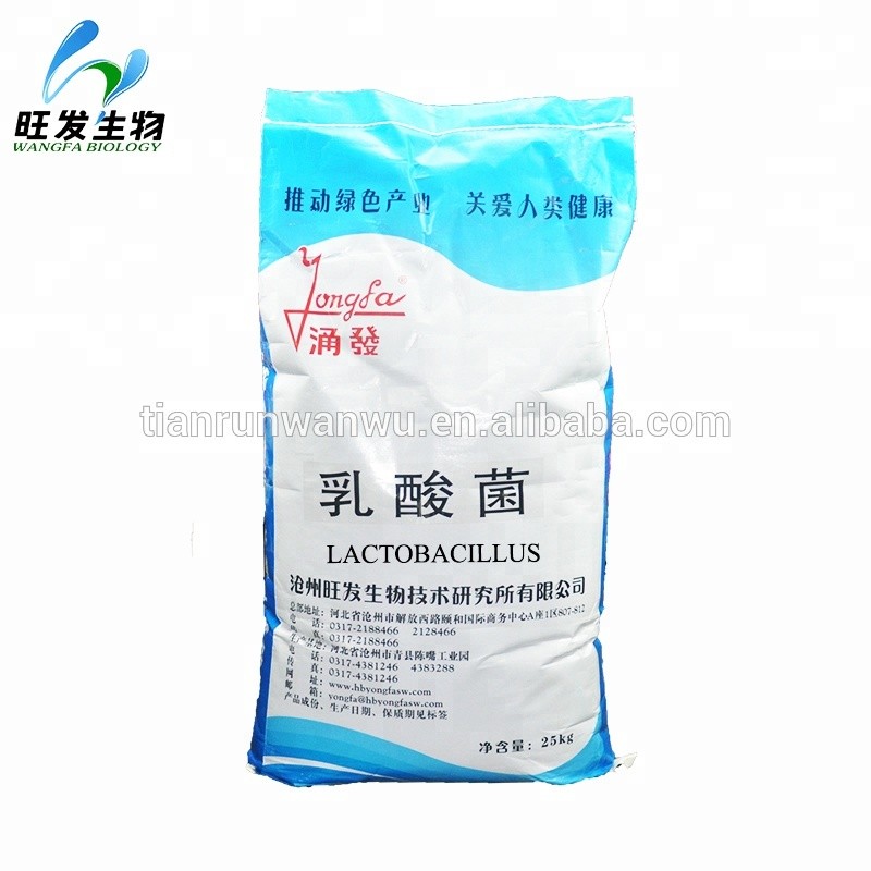 Lactic Acid Bacteria Powder Lactobacillus for Agriculture Animals