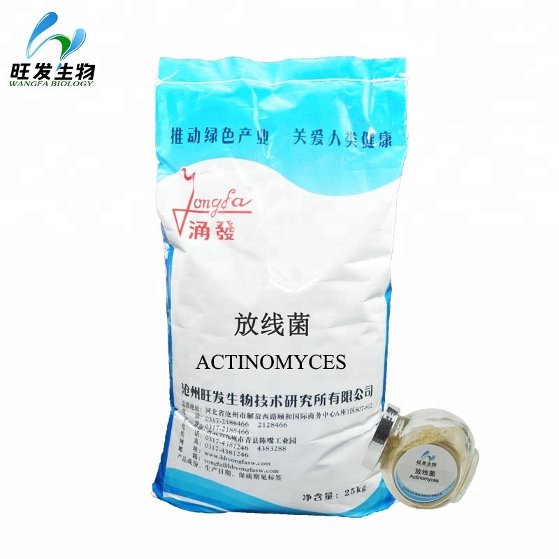 Actinomyces for Agriculture Plant Anti Disease