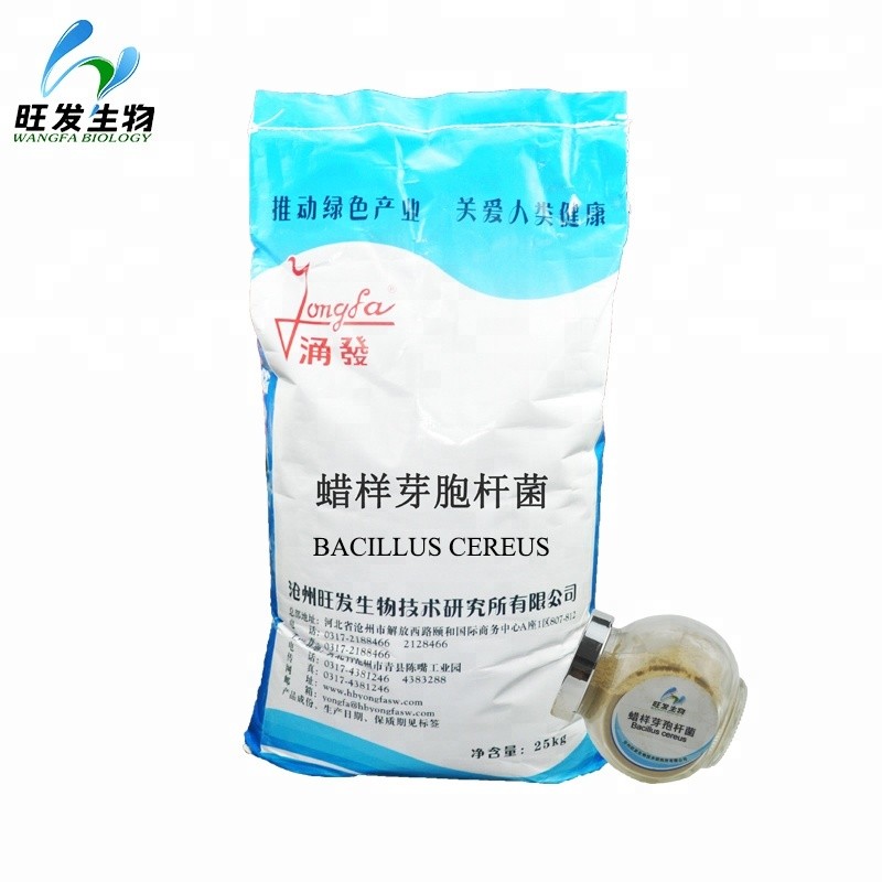 Feed Grade Bio Fertilizer Powder Bacillus Cereus