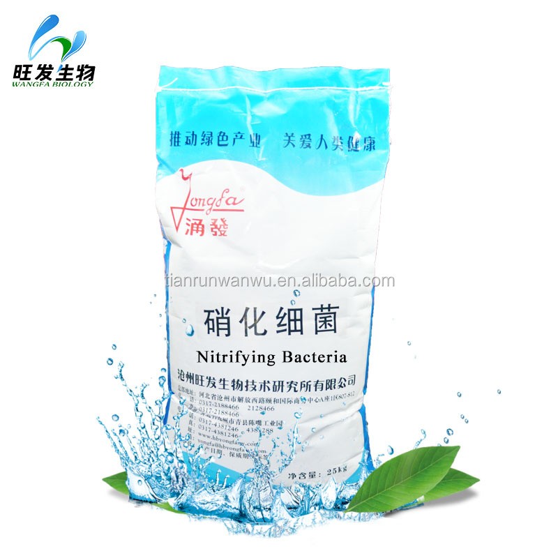 Nitrifying Bacteria for Degrading the Ammonia, BOD and COD in Sewage Treatment Plant