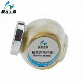 Feeding Soil Microbes Microbial Inoculum Bacillus Subtilis