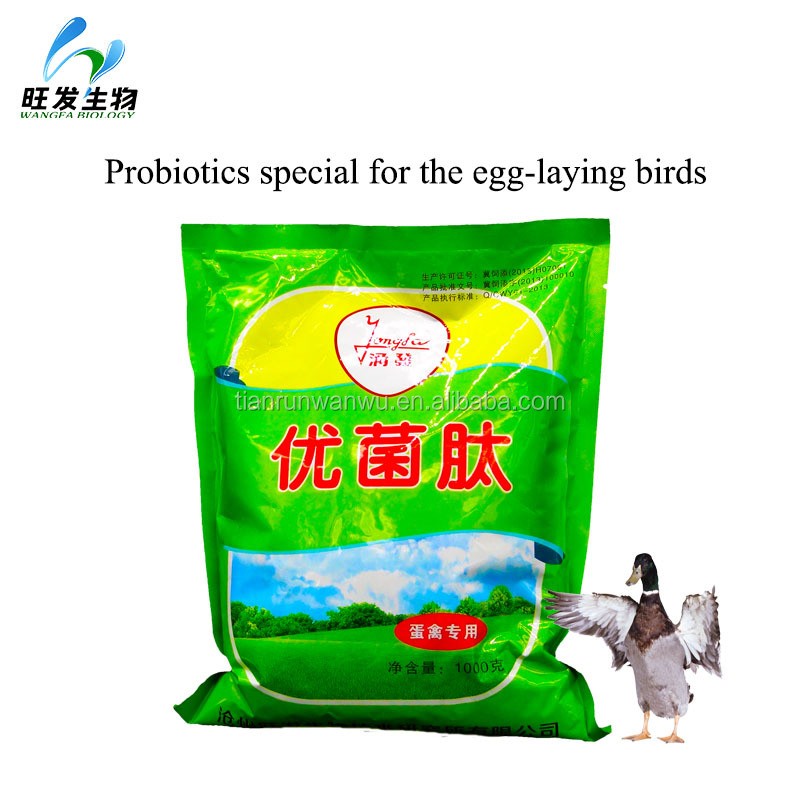 Strengthen the Eggshell Hardness-egg-laying Poultry Feed Additive Probiotics