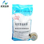 Feed Additives Veterinary Drugs Bacillus Subtilis