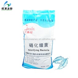 Nitrifying Bacteria for Degrading the Ammonia, BOD and COD in Sewage Treatment Plant