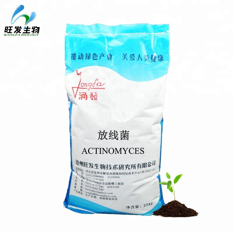 Actinomyces for Agriculture Plant Anti Disease