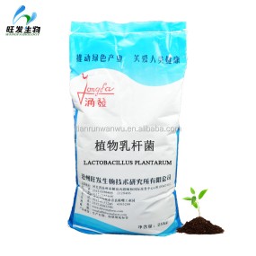 Probiotics Feed Additive Lactobacillus Plantarum
