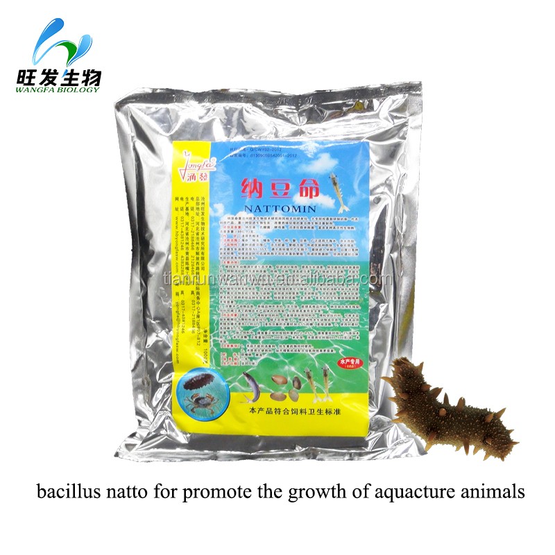 Nattomin(bacillus Natto for Promote the Growth of Aquacture Animals)