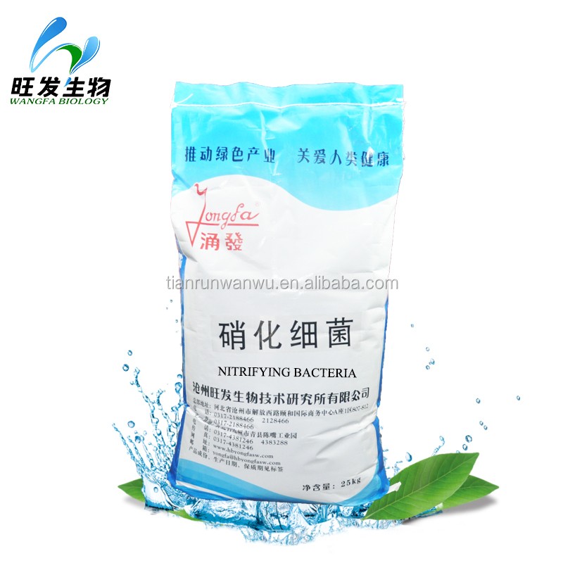 Aquaculture&sewage Nitrite Remover Nitrifying Bacteria