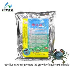 Nattomin(bacillus Natto for Promote the Growth of Aquacture Animals)