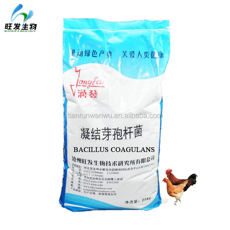 (Lactic Acid-forming Bacillus Bacteria) Bacillus Coagulans