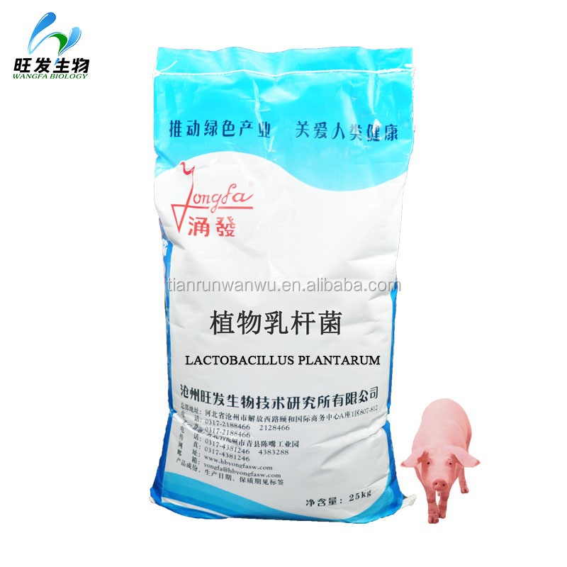 Probiotics Feed Additive Lactobacillus Plantarum