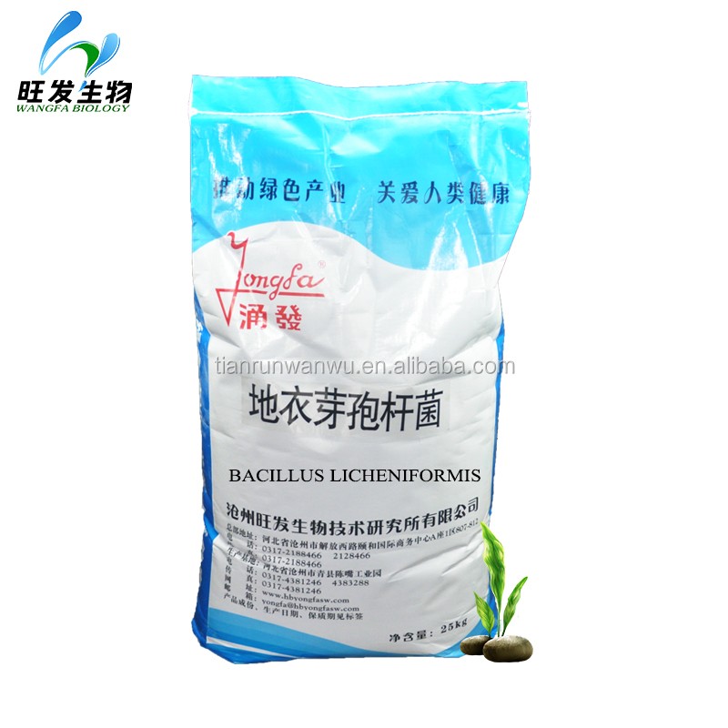 Feed Grade Probiotics Feed Additives Bacillus Licheniformis