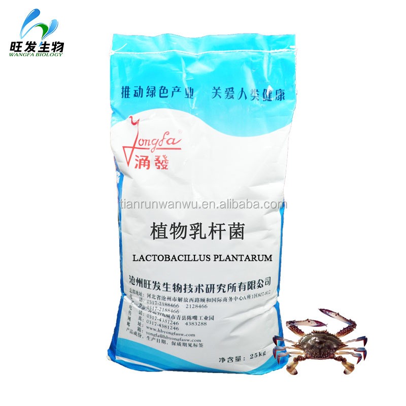 Probiotics Feed Additive Lactobacillus Plantarum