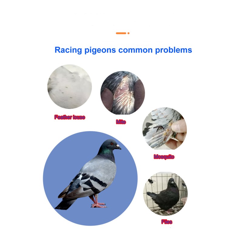 Bath Salt for Racing Pigeons