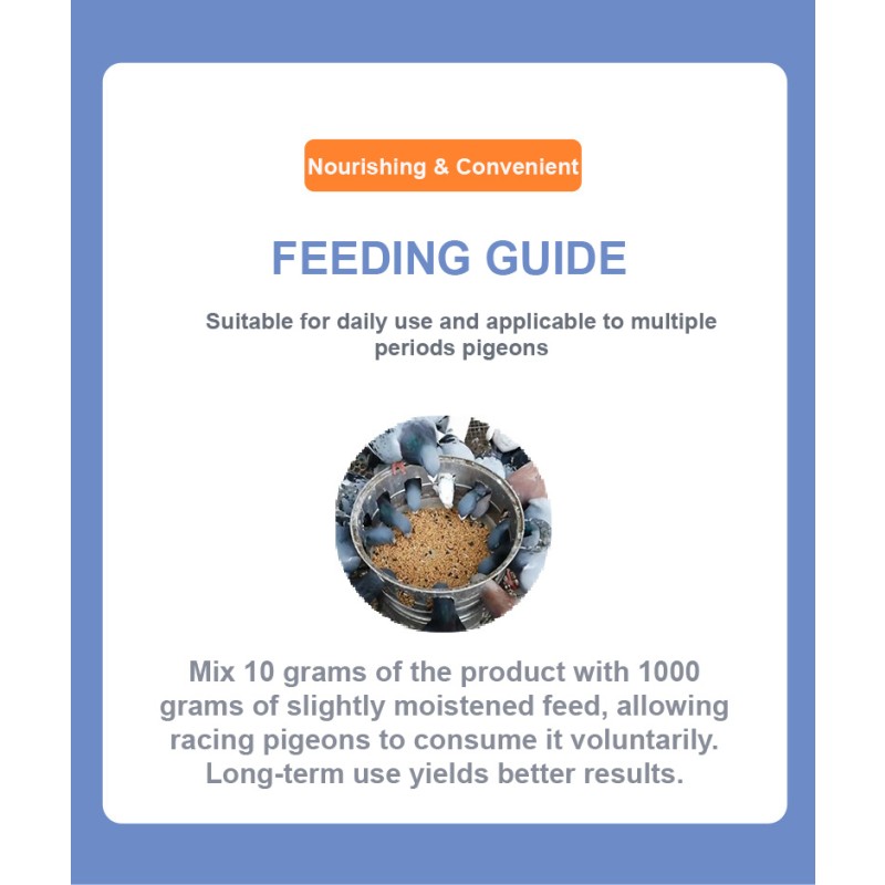 Nutritional Yeast Powder for Racing Pigeons