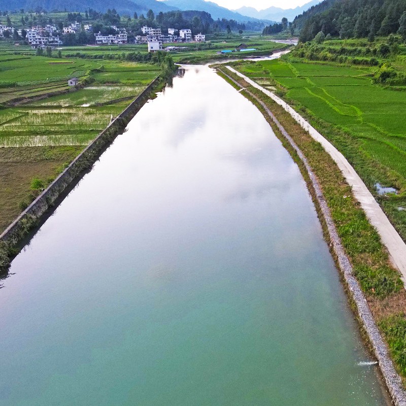 Specialized Bacterium for Wastewater Treatment,Clean Water,Reduce COD BOD TSS Level,Eliminate Sewage Smell