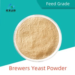 Feed Grade Brewers Yeast Powder
