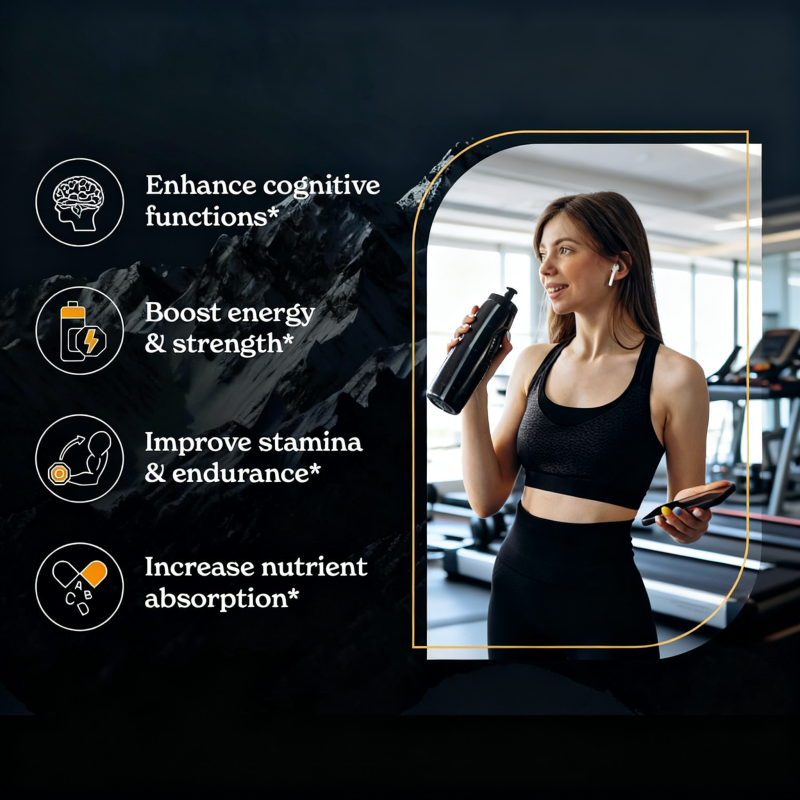 Shilajit Resin Manufacturer - OEM Original Himalayan Pure Grade