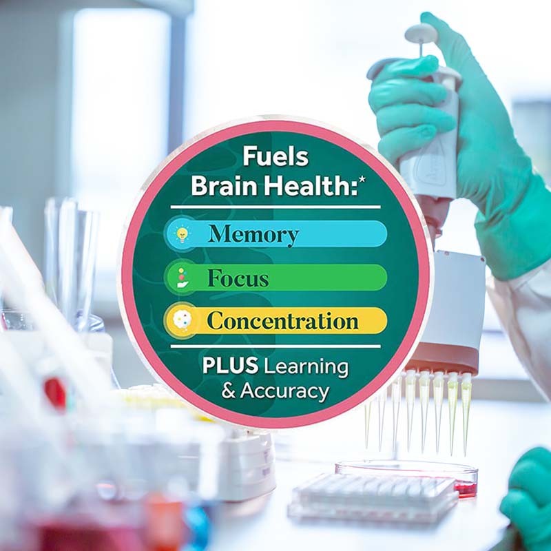 Nootropic Capsules Supplier - OEM Brain Focus Phosphatidylserine