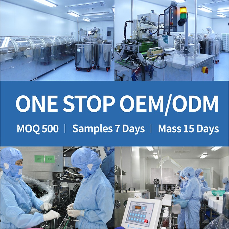 Greens Powder Supplier - OEM Organic Blend Probiotics Enzymes