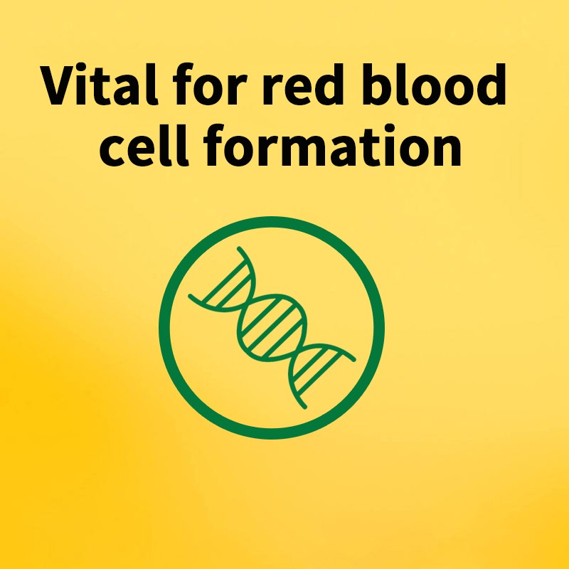 Iron Tablets Factory - OEM High Potency Iron Deficiency