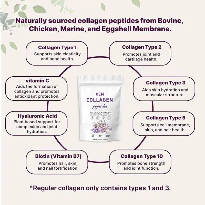 Collagen Peptides Powder Manufacturer - OEM Marine Bovine Vitamin C