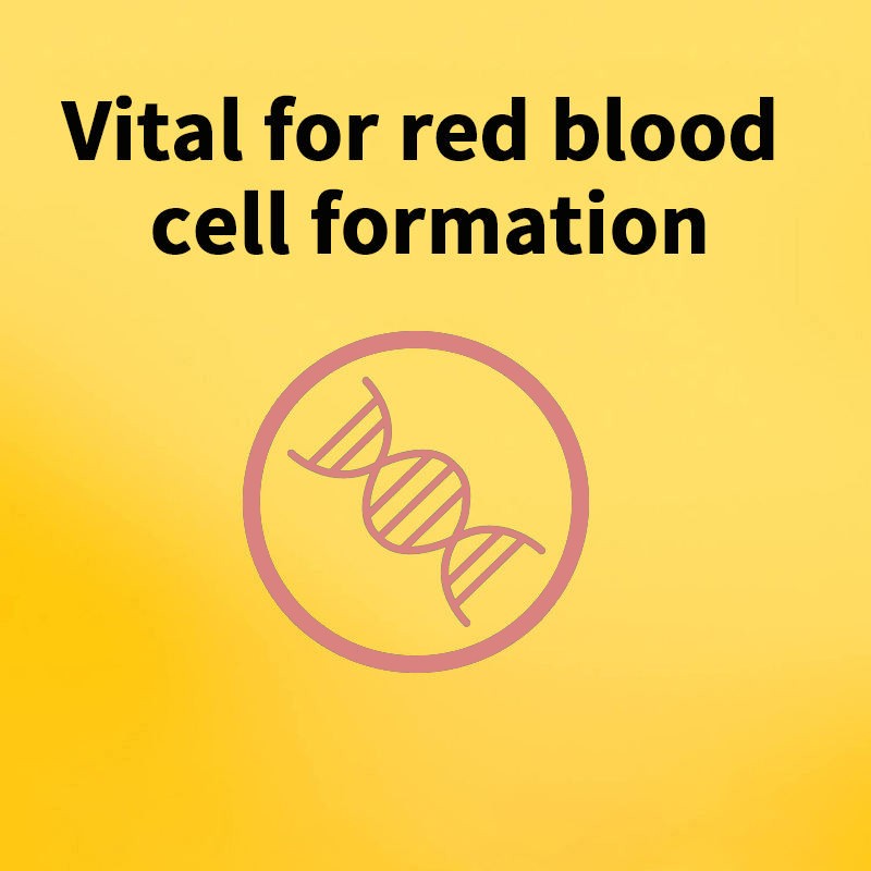 Iron Tablets Supplier - OEM Ferrous Sulfate Red Blood Cell