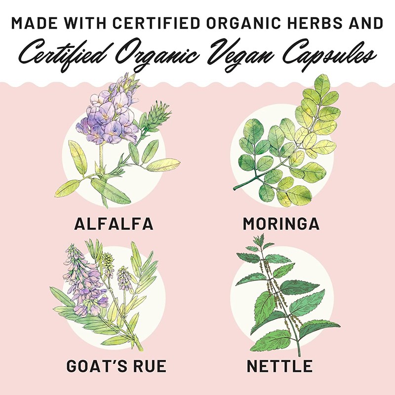 Lactation Capsules Manufacturer - OEM Fennel Seed Fenugreek Moringa