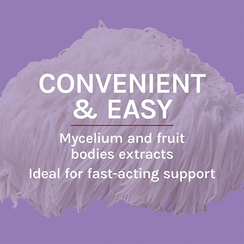 Mushroom Drops Supplier - OEM Lions Mane Memory Nerve Support