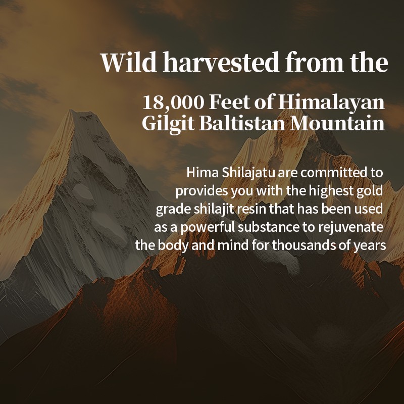 Shilajit Resin Supplier - OEM 30g Vegan Black Pure Himalayan