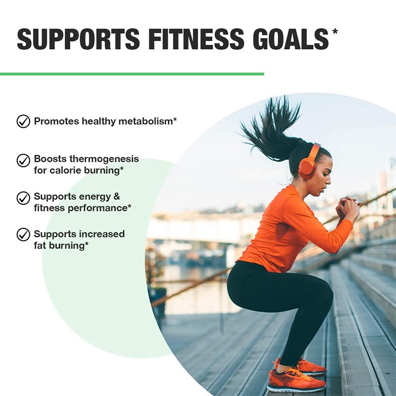 Weight Loss Capsules Manufacturer - OEM Night Time Belly Fat Burner Women