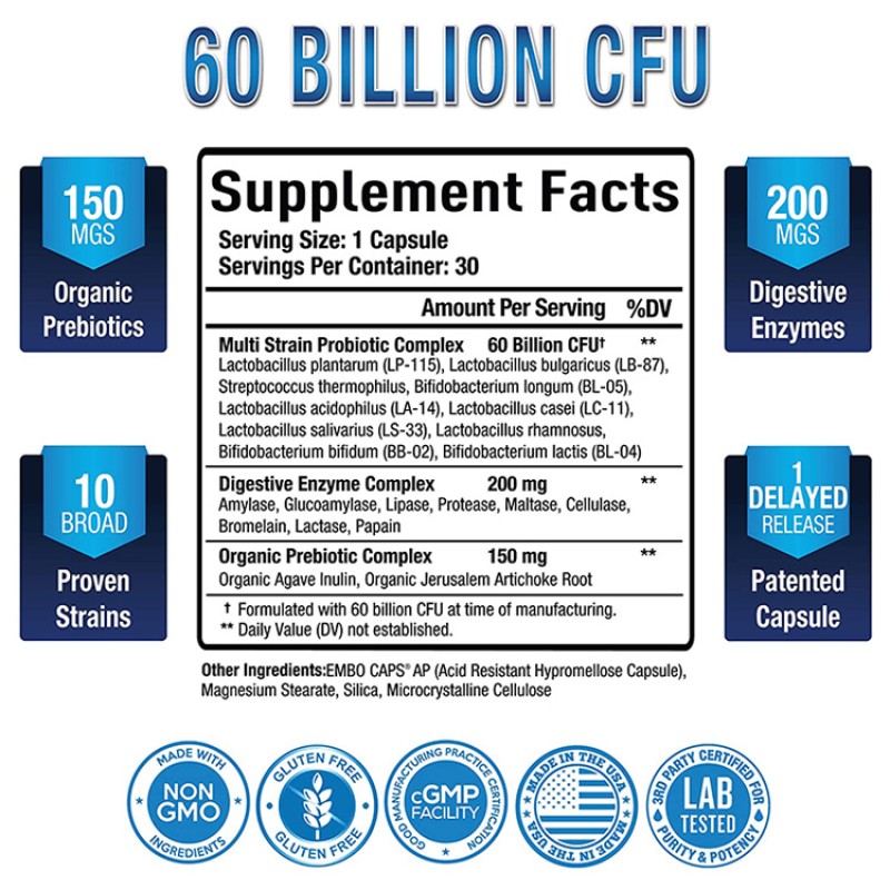 Probiotics Capsules Supplier - OEM Organic Prebiotic Digestive Enzymes Health