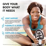 Glucosamine Chondroitin