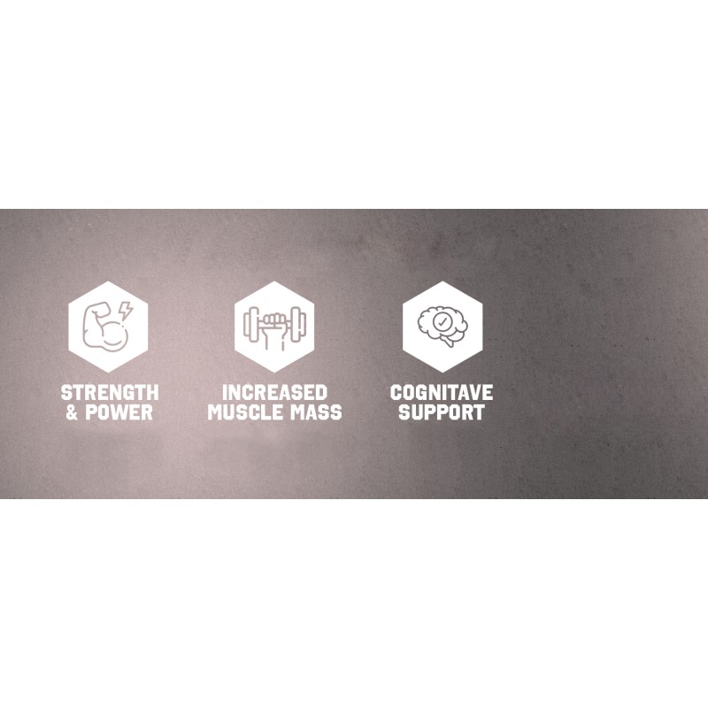 Creatine Monohydrate Powder Supplier - OEM Micronized 5000mg Per Serving Powder