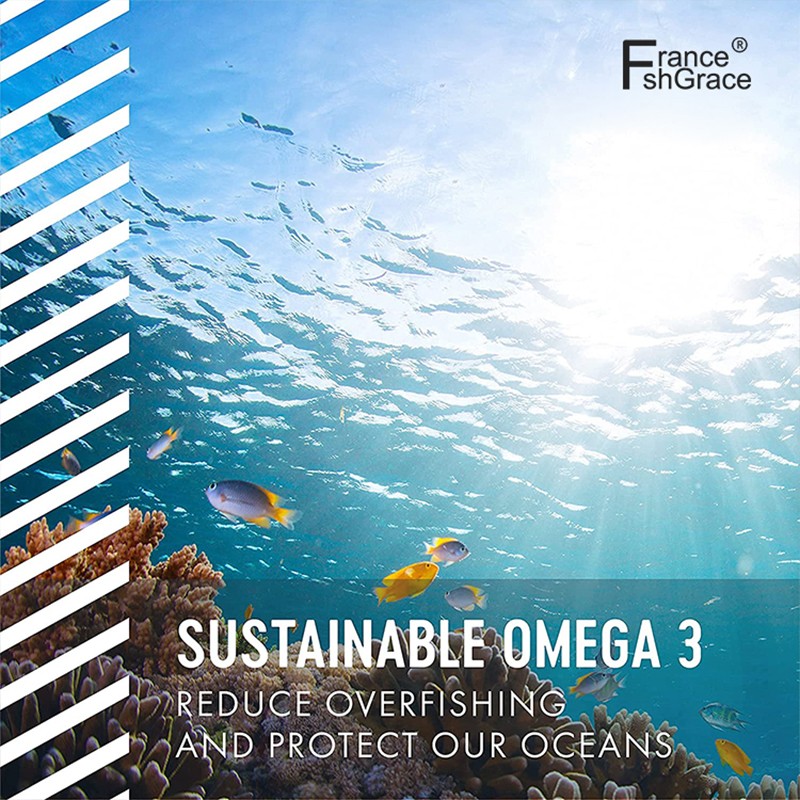 Omega 3 Softgel Capsule Supplier - OEM Natural DHA EPA Fish Oil Customized