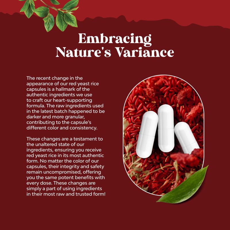 Red Yeast Rice Softgels Manufacturer - OEM CoQ10 Heart Health Supplement