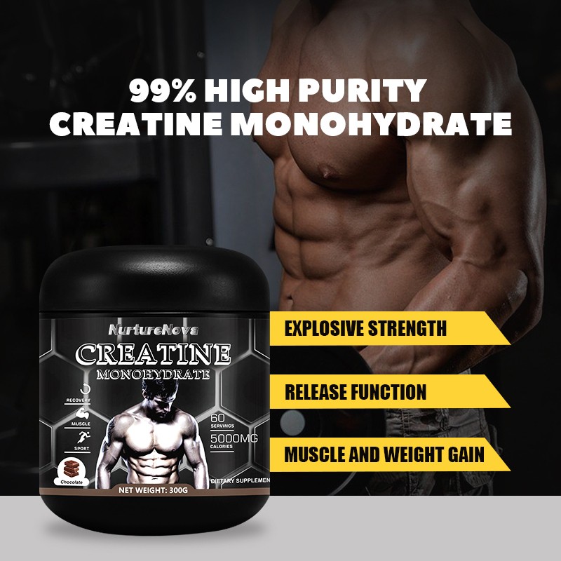 Sports Creatine Powder Factory - Amino Acid Zinc Magnesium