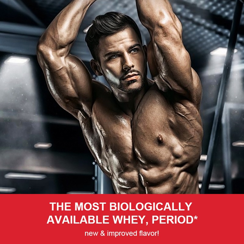 Whey Protein Powder Manufacturer - High Immunity Muscle Support