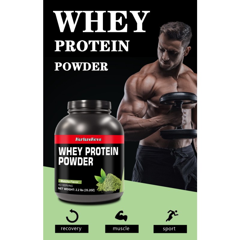 Protein Powder Supplier - Matcha Flavor 2.2lbs Source Factory