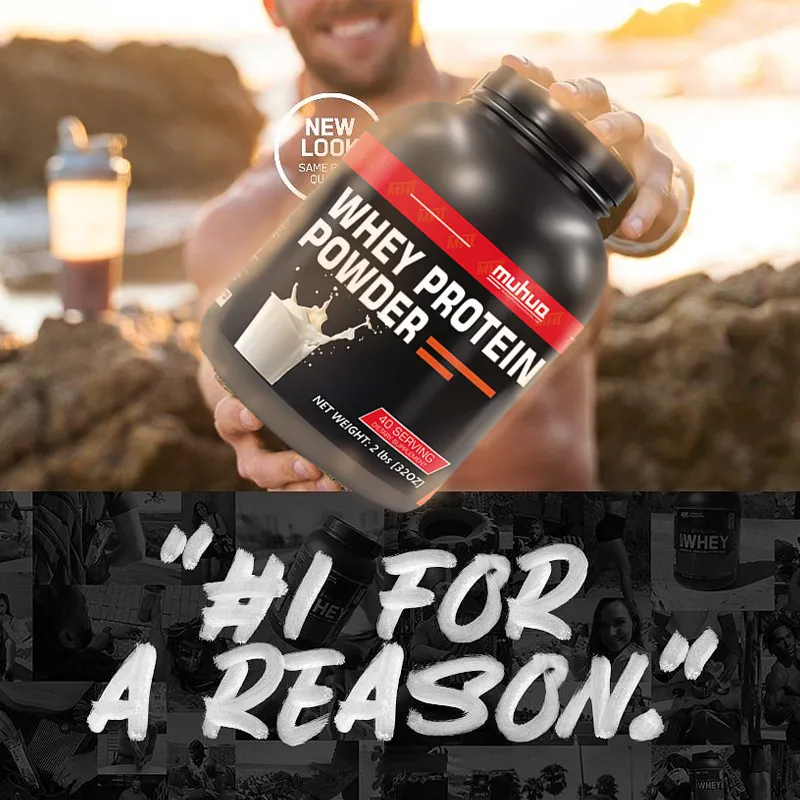 Whey Protein Powder Manufacturer - 1kg 2lbs Milk Flavor Source