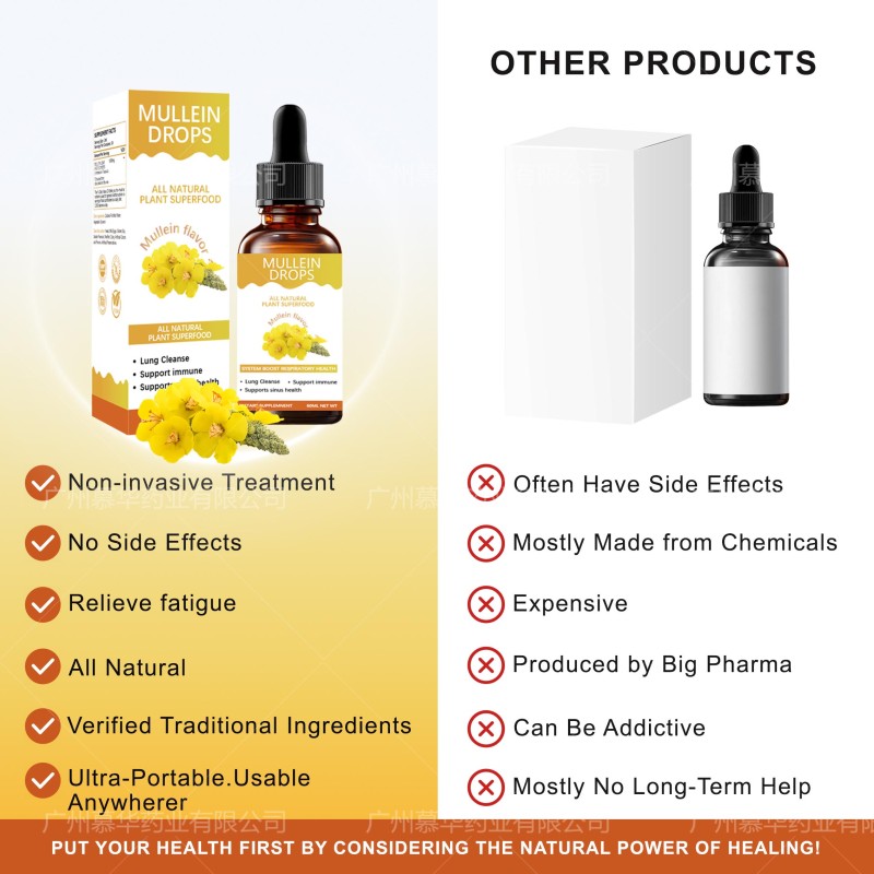 Mullein Drops Factory - 60ml Immunity Boost Supplement