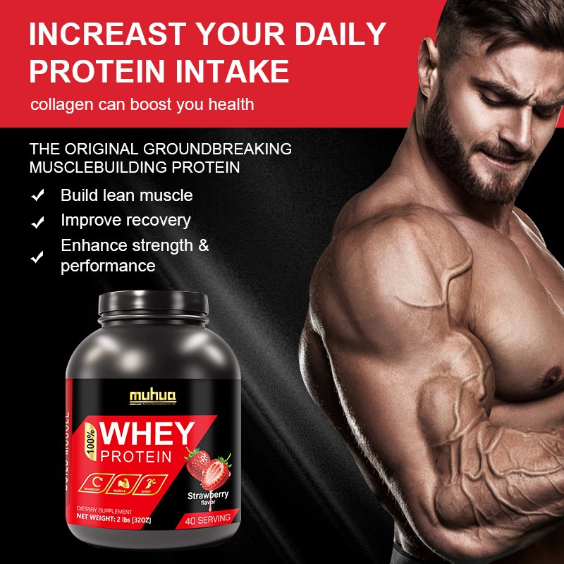 Whey Protein Powder Manufacturer - High Immunity Muscle Support