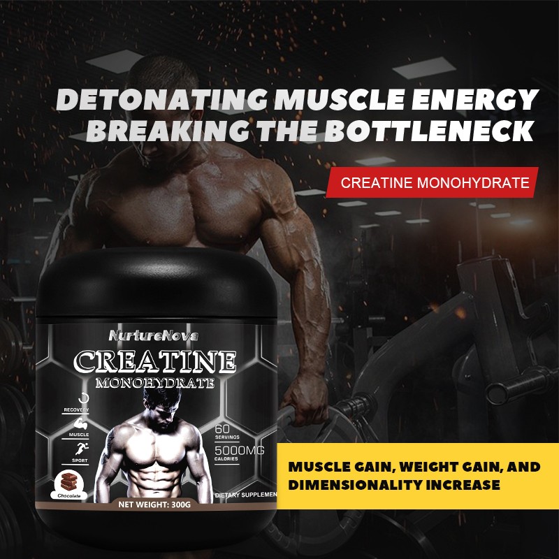 Sports Creatine Powder Factory - Amino Acid Zinc Magnesium