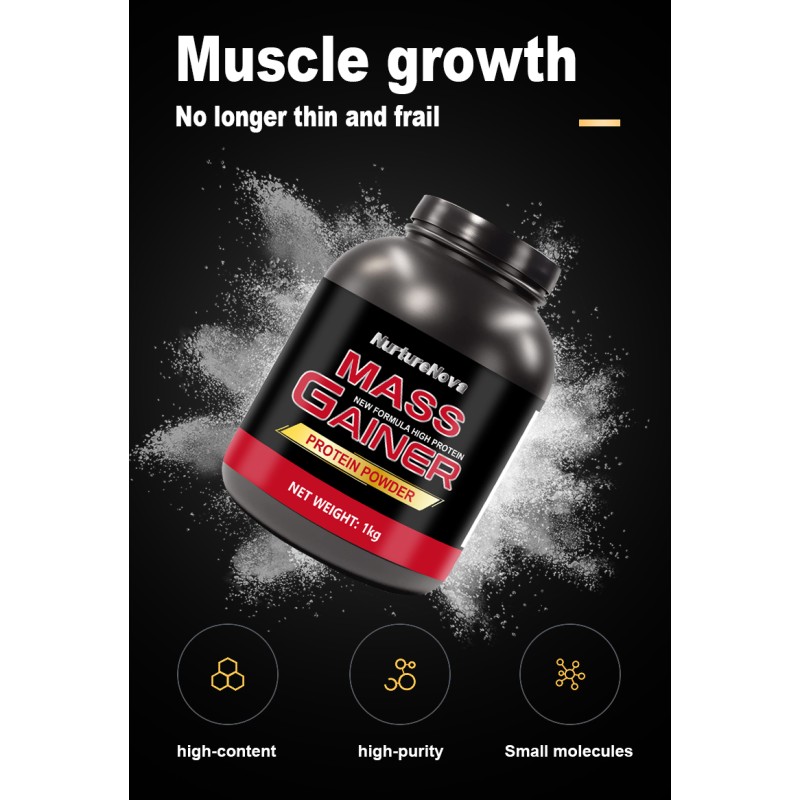 Weight Gain Supplement Supplier - Whey Protein Mass Gainer