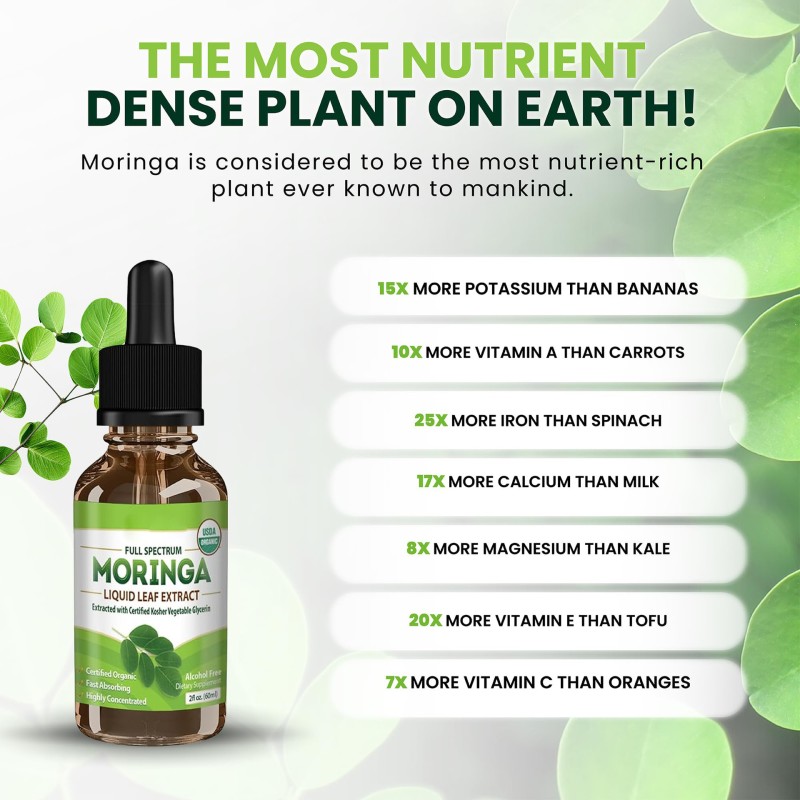 Moringa Droplets Manufacturer - 60ml Leaf Extract Supplement