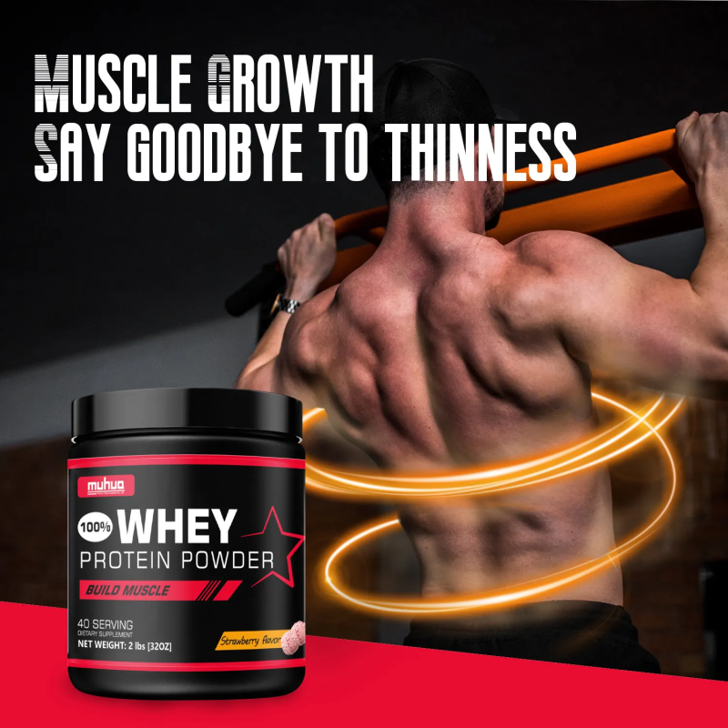 Whey Protein Powder Manufacturer - 5lbs Isolate Muscle Builder